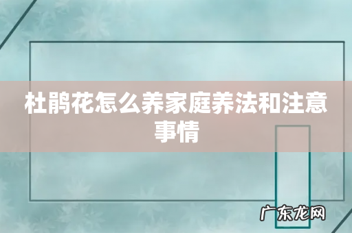 杜鹃花怎么养家庭养法和注意事情