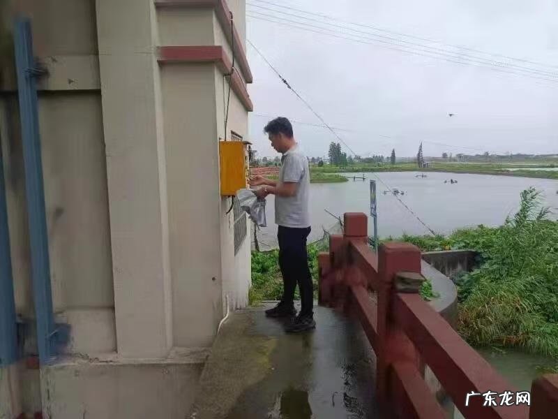 嘉善红旗塘 嘉善县台风水位红旗塘水位