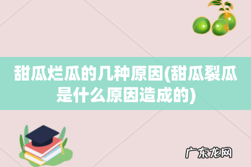 甜瓜裂瓜是什么原因造成的 甜瓜烂瓜的几种原因