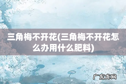 三角梅不开花怎么办用什么肥料 三角梅不开花