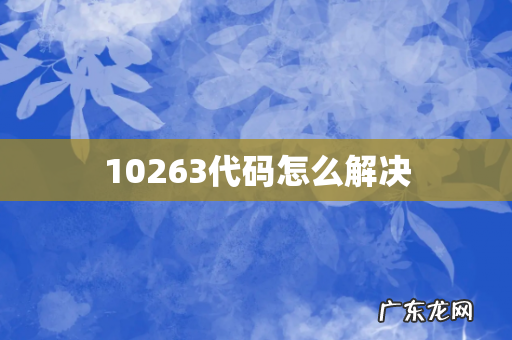 10263代码怎么解决