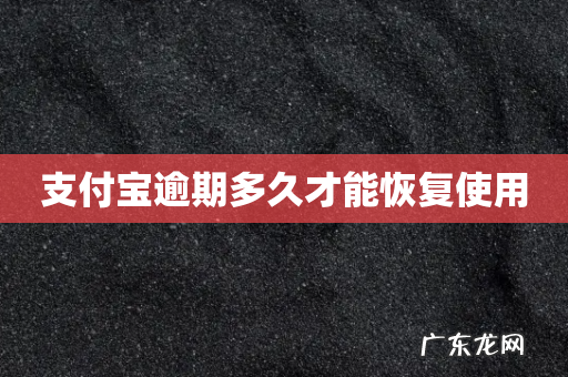 支付宝逾期多久才能恢复使用