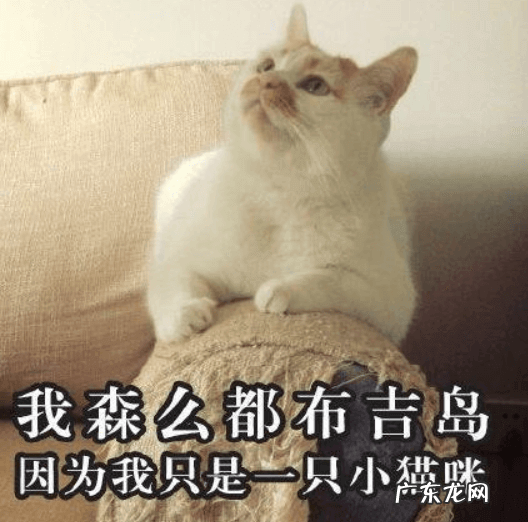 英语暑期夏令营 英语夏令营怎么说