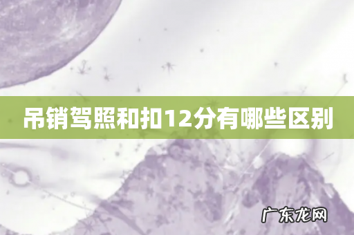 吊销驾照和扣12分有哪些区别