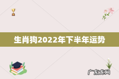 生肖狗2022年下半年运势