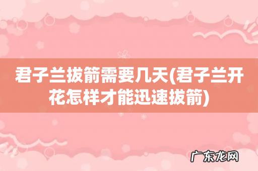 君子兰开花怎样才能迅速拔箭 君子兰拔箭需要几天