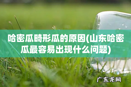 山东哈密瓜最容易出现什么问题 哈密瓜畸形瓜的原因