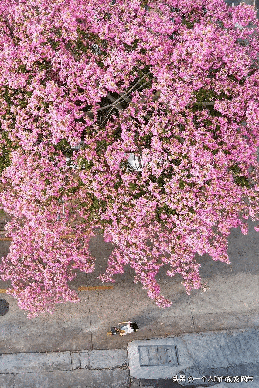 11月去哪里旅游好?