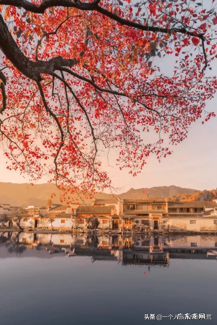 11月去哪里旅游好?