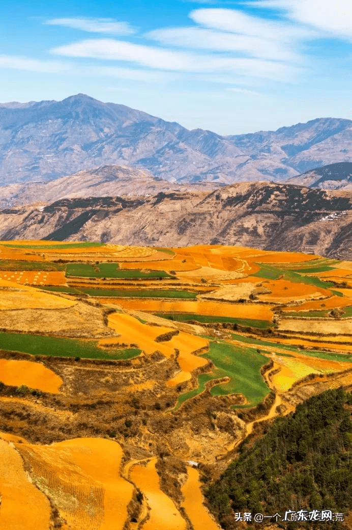 11月去哪里旅游好?