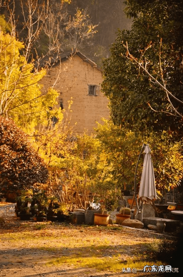 11月去哪里旅游好?