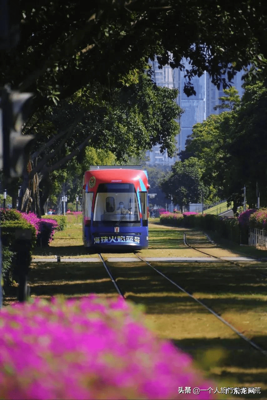 11月去哪里旅游好?