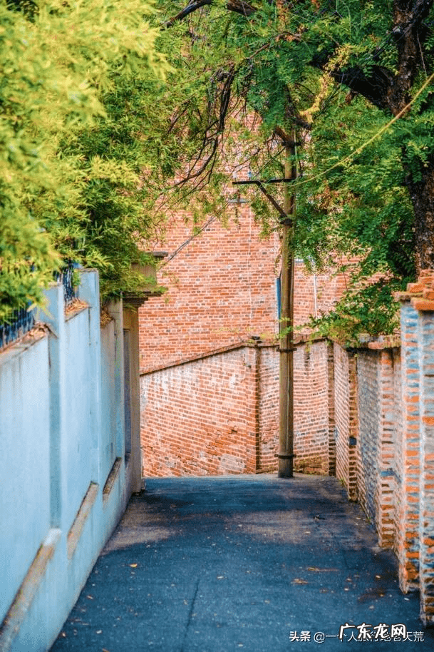 11月去哪里旅游好?