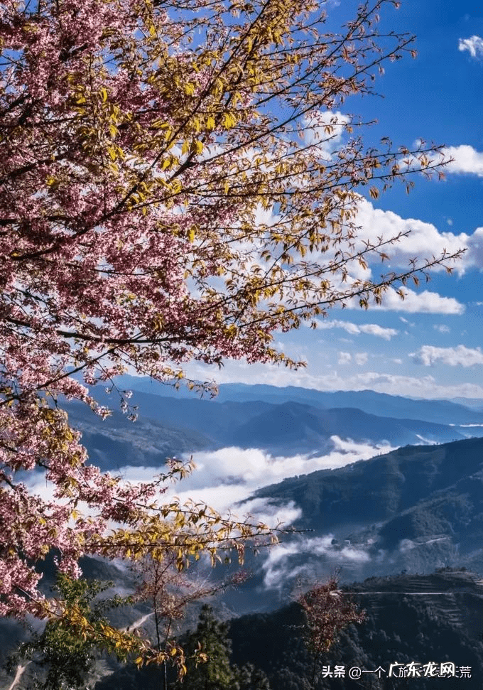 11月去哪里旅游好?