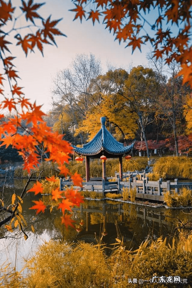 11月去哪里旅游好?