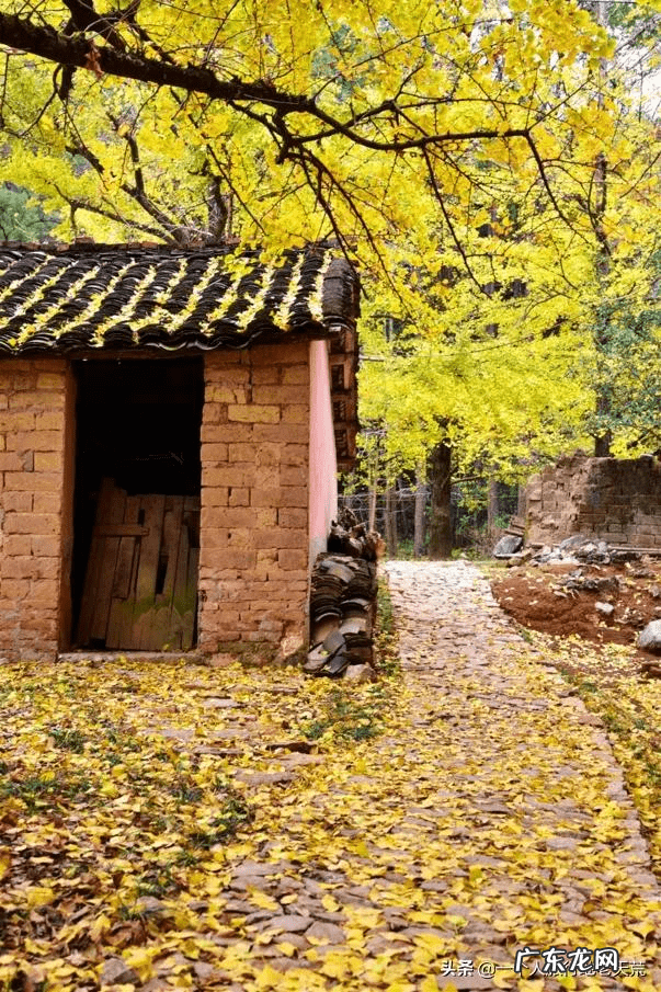 11月去哪里旅游好?