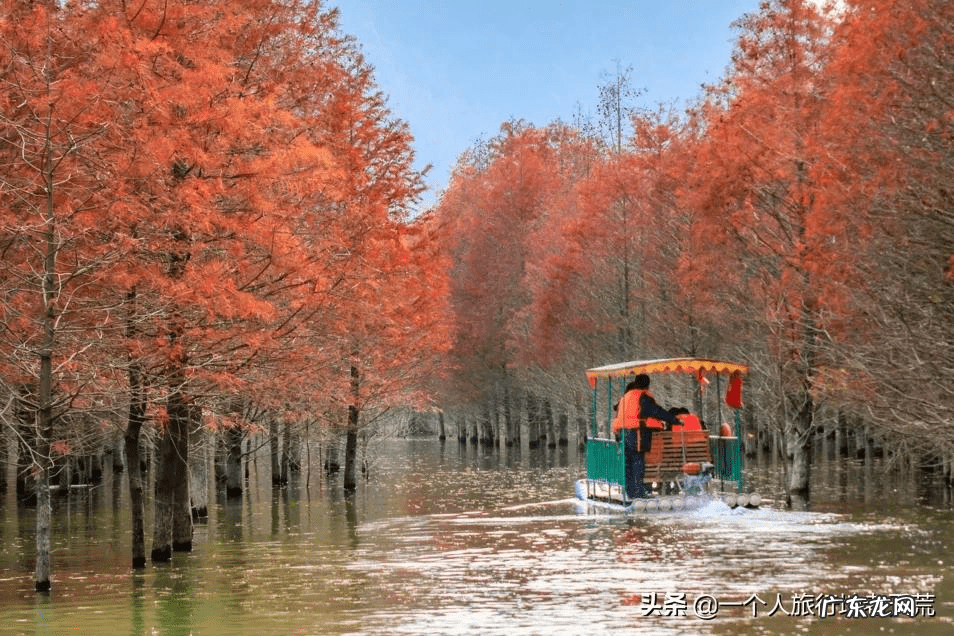 11月去哪里旅游好?