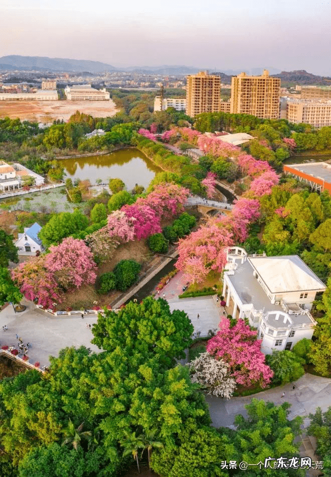 11月去哪里旅游好?