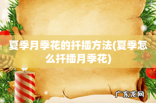 夏季怎么扦插月季花 夏季月季花的扦插方法