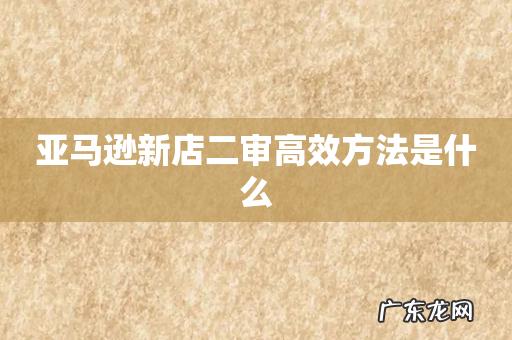 亚马逊新店二审高效方法是什么