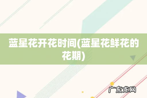 蓝星花鲜花的花期 蓝星花开花时间