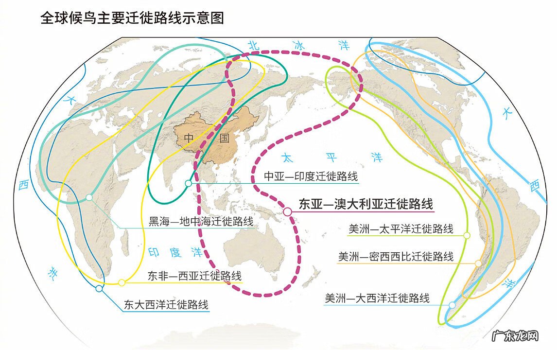 家里有燕子来筑巢,到底是不是好事 燕子来我家筑巢好不好