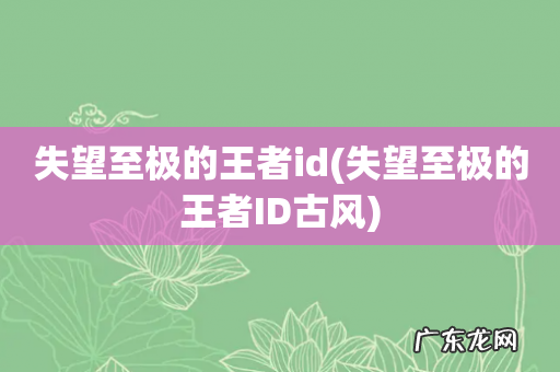 失望至极的王者ID古风 失望至极的王者id