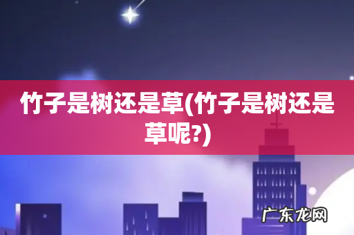 竹子是树还是草呢? 竹子是树还是草