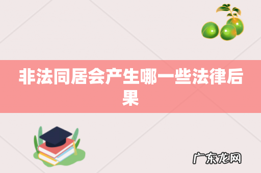 非法同居会产生哪一些法律后果