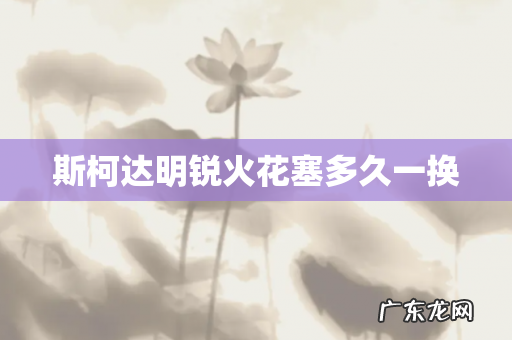 斯柯达明锐火花塞多久一换