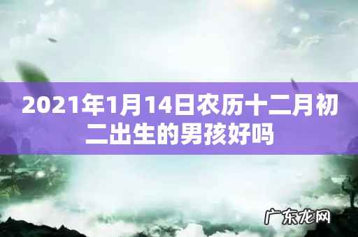 2021年1月14日农历十二月初二出生的男孩好吗