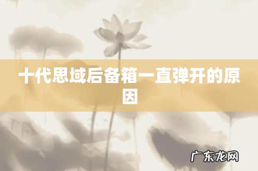 十代思域后备箱一直弹开的原因