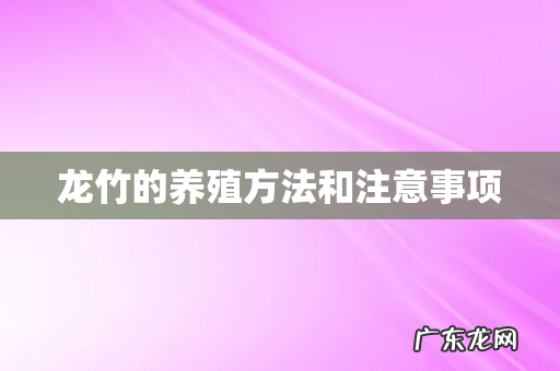 龙竹的养殖方法和注意事项
