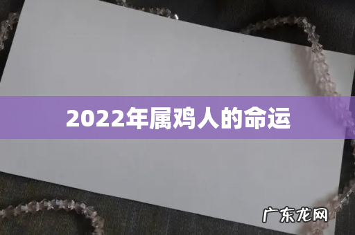 2022年属鸡人的命运