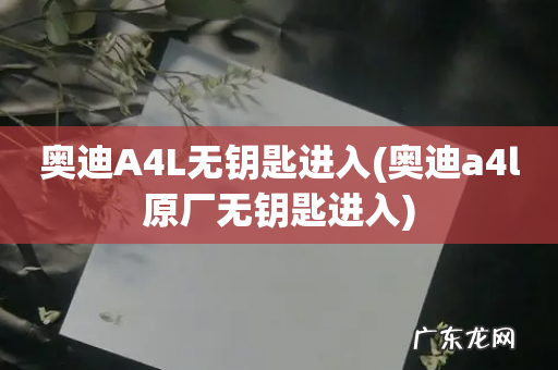 奥迪a4l原厂无钥匙进入 奥迪A4L无钥匙进入