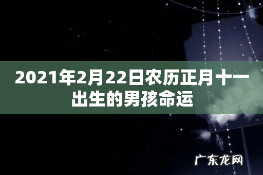 2021年2月22日农历正月十一出生的男孩命运