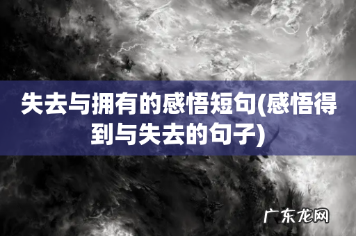 感悟得到与失去的句子 失去与拥有的感悟短句