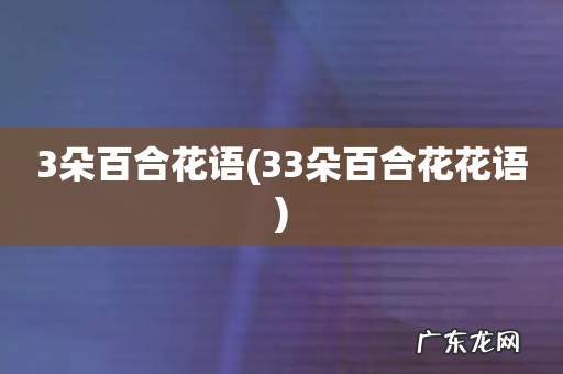 33朵百合花花语 3朵百合花语