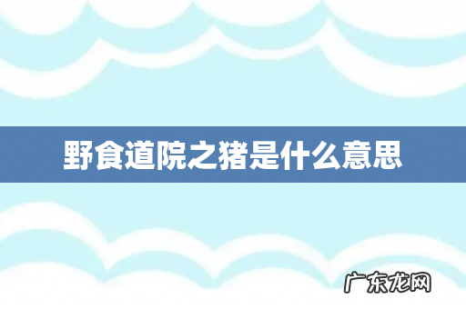 野食道院之猪是什么意思