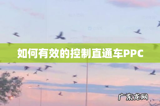 如何有效的控制直通车PPC