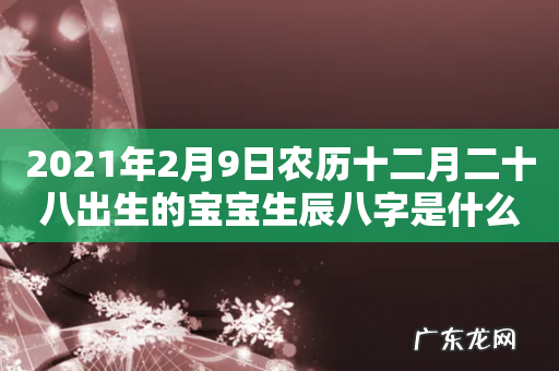 2021年2月9日农历十二月二十八出生的宝宝生辰八字是什么