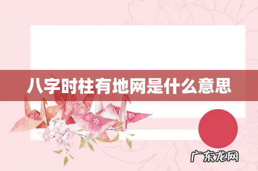 八字时柱有地网是什么意思