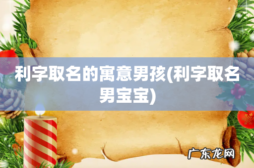 利字取名男宝宝 利字取名的寓意男孩