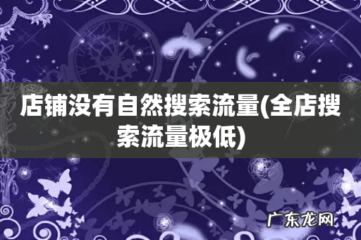 全店搜索流量极低 店铺没有自然搜索流量