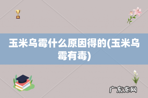 玉米乌霉有毒 玉米乌霉什么原因得的