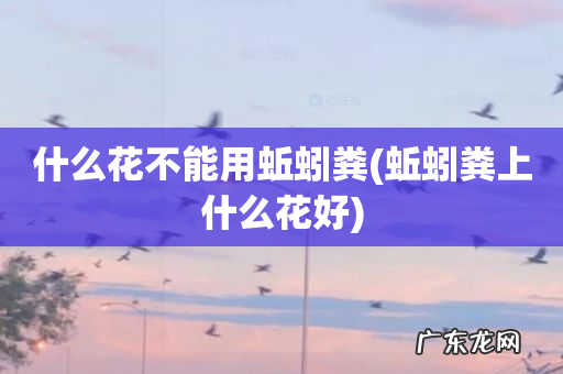 蚯蚓粪上什么花好 什么花不能用蚯蚓粪