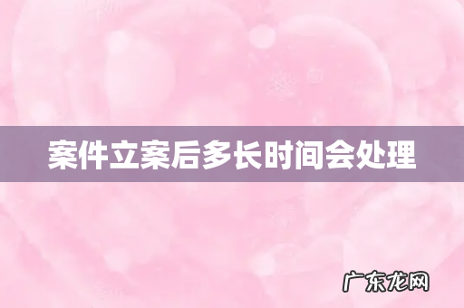 案件立案后多长时间会处理