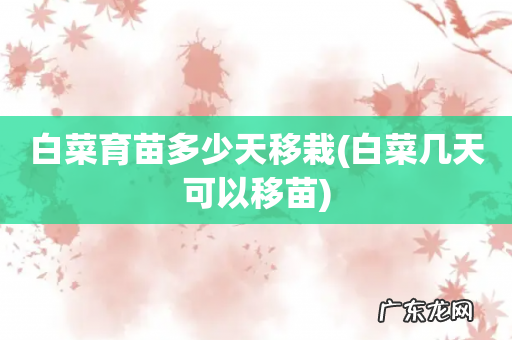 白菜几天可以移苗 白菜育苗多少天移栽