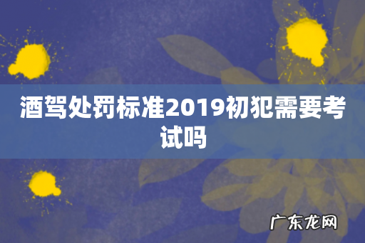 酒驾处罚标准2019初犯需要考试吗