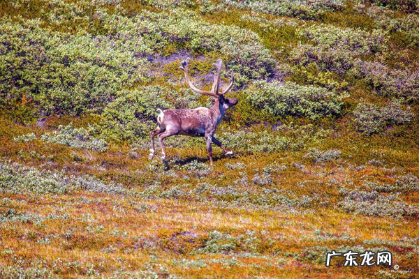 女人就是一家的风水 微笑是一个女人风水
